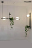 MOOSEE lampa ścienna PLANT WALL czarna