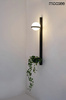 MOOSEE lampa ścienna PLANT WALL czarna