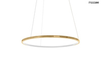 MOOSEE lampa wisząca RING SLIM 40 złota